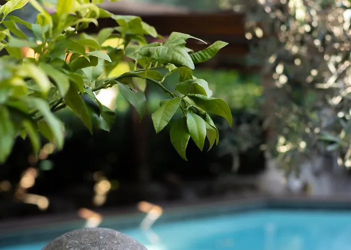 Therme Appiae Villa Rom